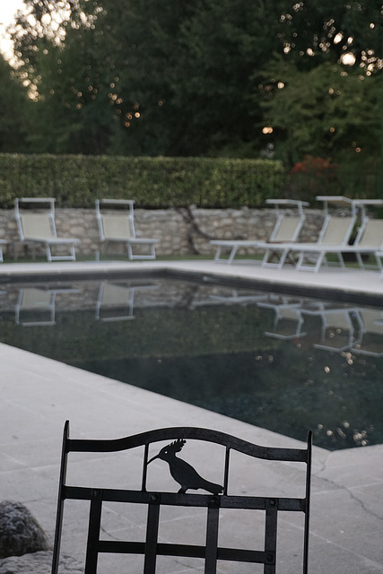 Chair at pool