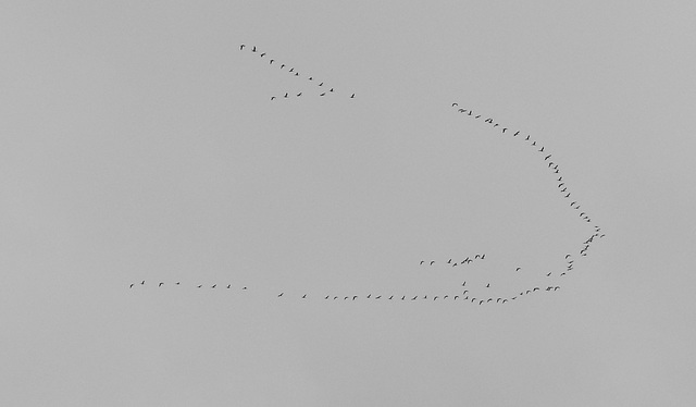 Formation flying