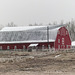 Red barn on a cold, foggy, snowy day