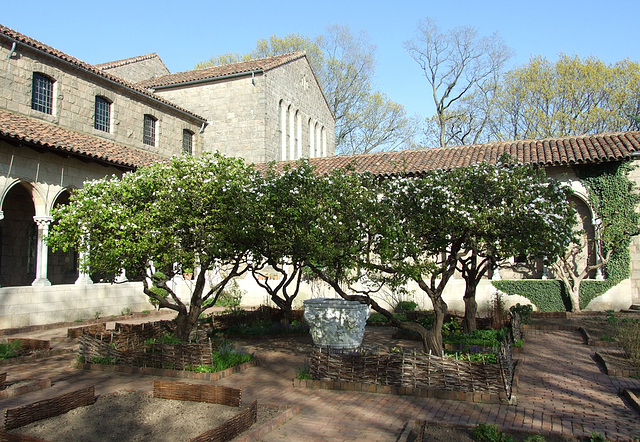 Garden in the Cloisters, April 2012