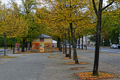 Herbst in Potsdam (© Buelipix)