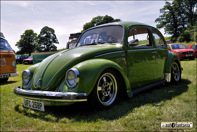 1975 VW Beetle - UFC 258P