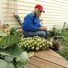 Joan and the Brussels Sprouts