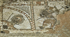 Bacchus mosaic - Gladiator with trident