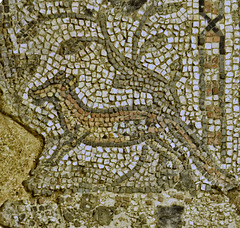 The Fox detail of the Bacchus mosaic