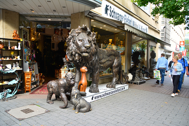 Cologne 2014 – Lion