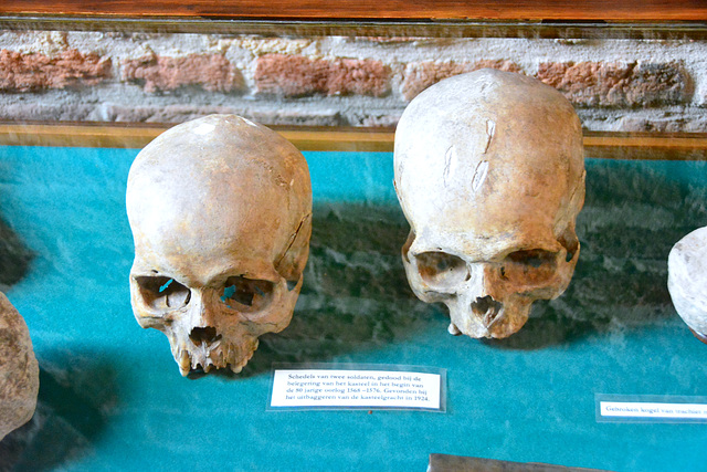 Huis Bergh 2014 – Skulls from the Eighty Years’ War