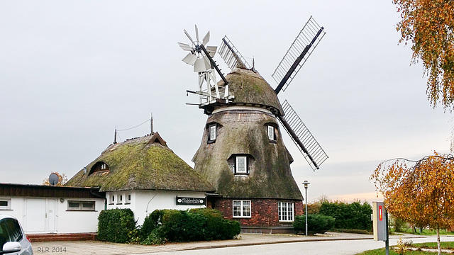 Dorf Mecklenburg, Windmühle