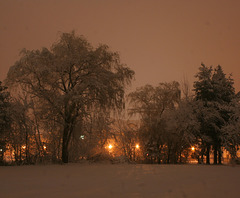 winter night/nuit d'hiver