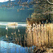 Der Weißensee im Winter.  ©UdoSm