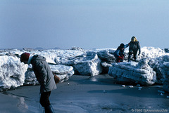 Treiben auf der Sandbank vor Ording, "unser" Eiswinter im März 1985