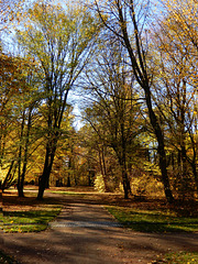 Herbst in Dresdens Großem Garten 09