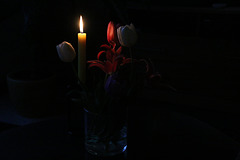 Kerze mit Tulpen