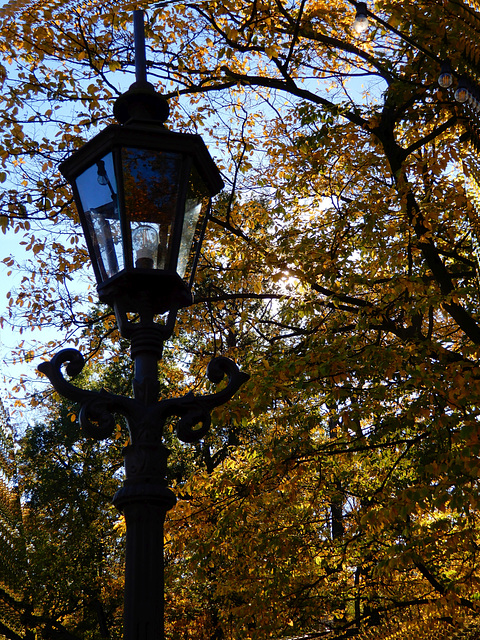 Herbst in Dresdens Großem Garten 10
