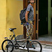 Rivoluzionario  o ciclista cubano?