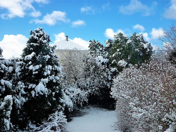 View from bathroom in 2010 winter (2)