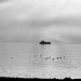 Nebel über dem Bodensee und ein einsames Boot