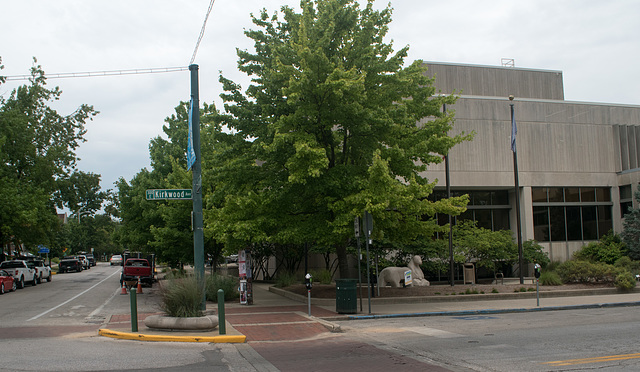 Bloomington / Monroe County Public Library / cruising block (#0278)
