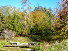 Sunny Autumn Monday - colours by the pond