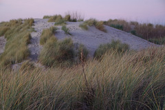 La dune !