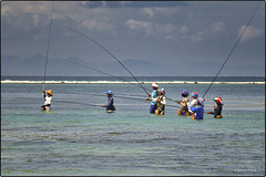 Pêcheurs professionnels à la ligne