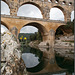 Mauerblümchen vorm Pont du Gard