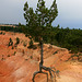 Bryce Canyon