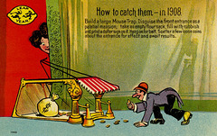 How to Catch Them During Leap Year in 1908