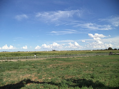Ciel agricole / Agricultural blue sky