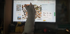 Mimi loves puzzles