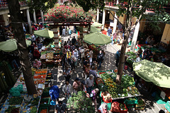 The Farmers' Market