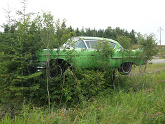 Vintage Lafarge car