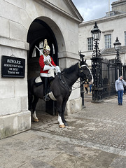 Horse guards parade London
