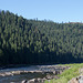 Idaho US12 & Clearwater River (#0156)
