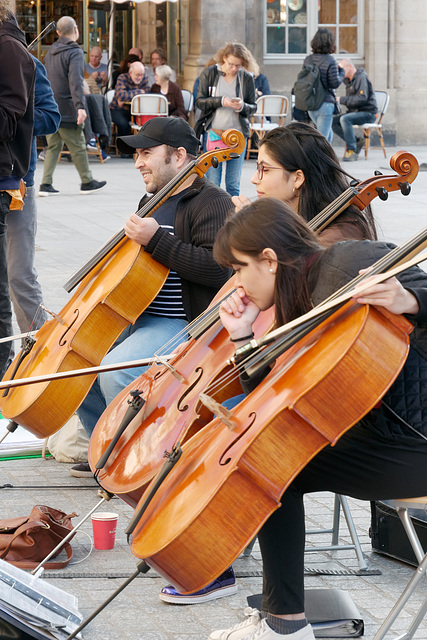 Les violoncellistes du Palais-Royal