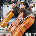 Les violoncellistes du Palais-Royal
