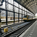 Train passing through Haarlem