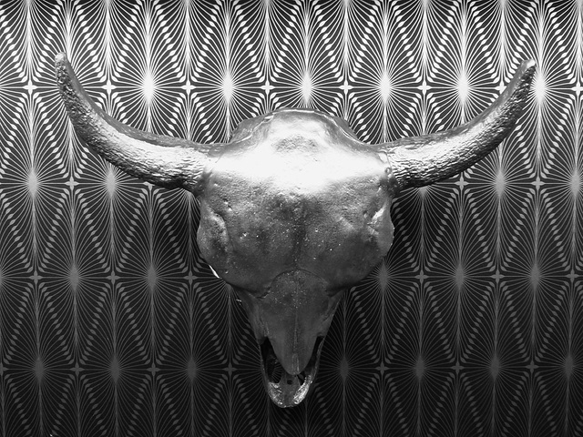 Bull's Head (mono edit) - 30 December 2014