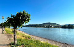 DE - Bad Breisig - Am Rheinufer