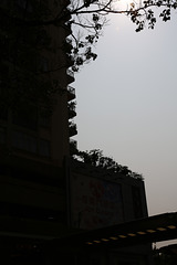 Urban silhouette