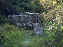 Hell's Gate - hot water Kakahi Falls