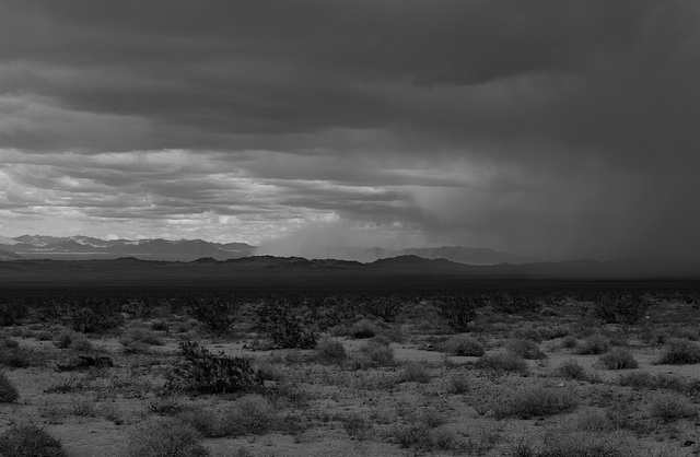 Amboy desert ‘steam rain’? (#1009)