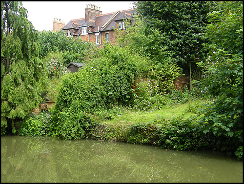 green canalside garden