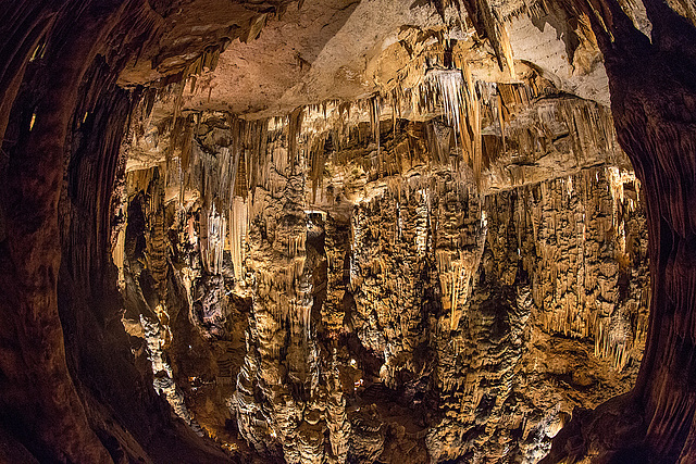 20150519 7963VRFw [F] Tropfsteinhöhle, Grotte des Demoiselles [Ganges]