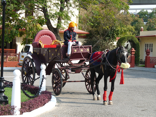 Jaipur- Jai Mahal Palace Hotel- Awaiting a Wedding Party