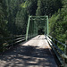 Idaho Selway River CCC? bridge (#0165)