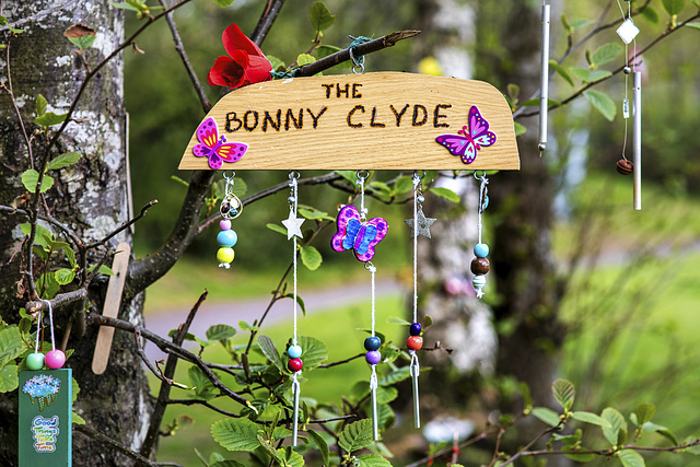 'The Bonny Clyde'