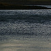 Shetland - water patterns