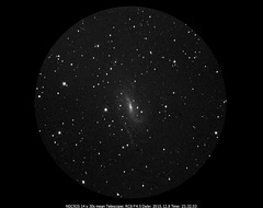 NGC925 in Triangulum