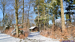 Cottage de la Forêt